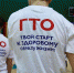 Как теплоогаревские спортсмены выступили на фестивале ГТО - Наша Жизнь