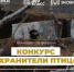 Теплинцев предлагают сделать кормушки для птиц - Наша Жизнь
