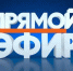 ГРАФИК  проведения личных приемов, консультаций, прямых эфиров в апреле 2022 года - Администрация Тёпло-Огарёвского района