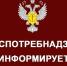 Как выбрать ёлочную гирлянду - Администрация Тёпло-Огарёвского района